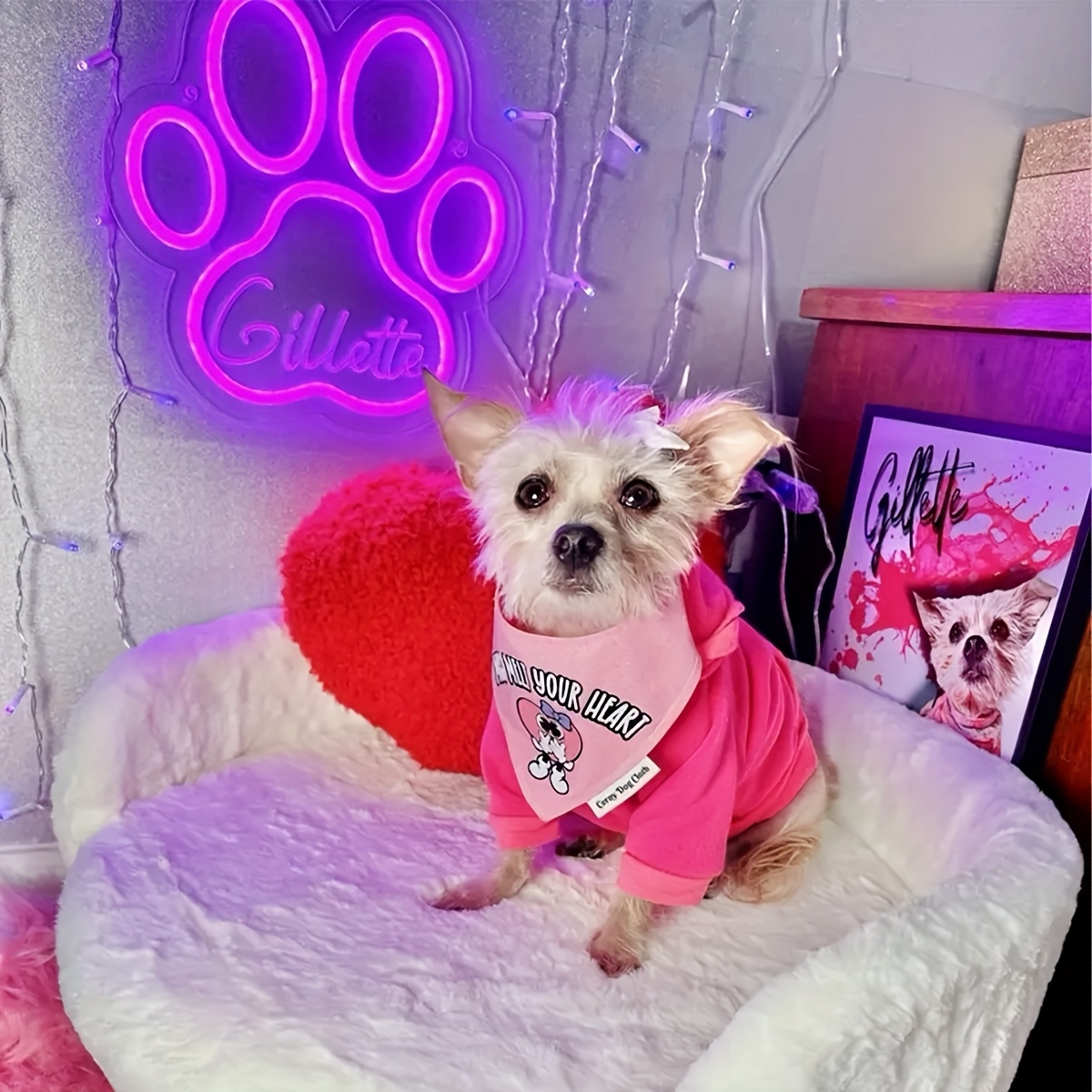 Custom Paw Print Neon Sign wit – Home Decor Store recenzja i cena