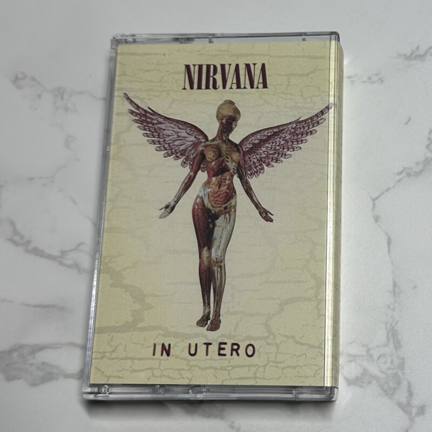 Nirvana Complete Album Collect – Home Decor Collection recenzja i cena