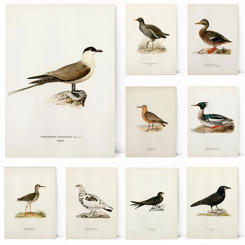 Elegant Game Bird Wall Art Can – Home Decor Games Free recenzja i cena