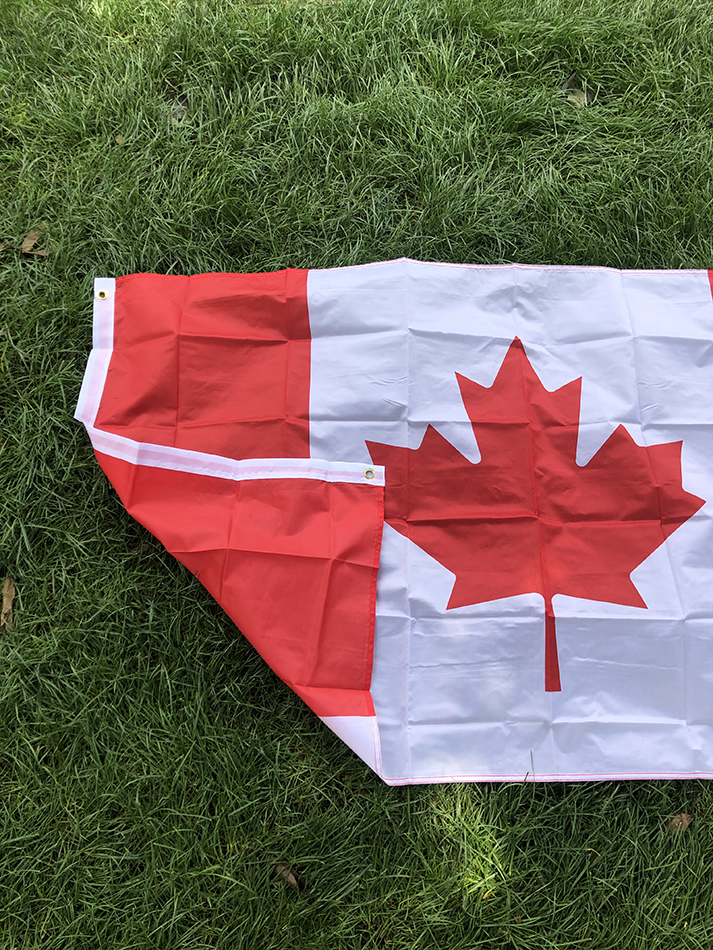 SKY FLAG free shipping great C – Home Decor Canada recenzja i cena