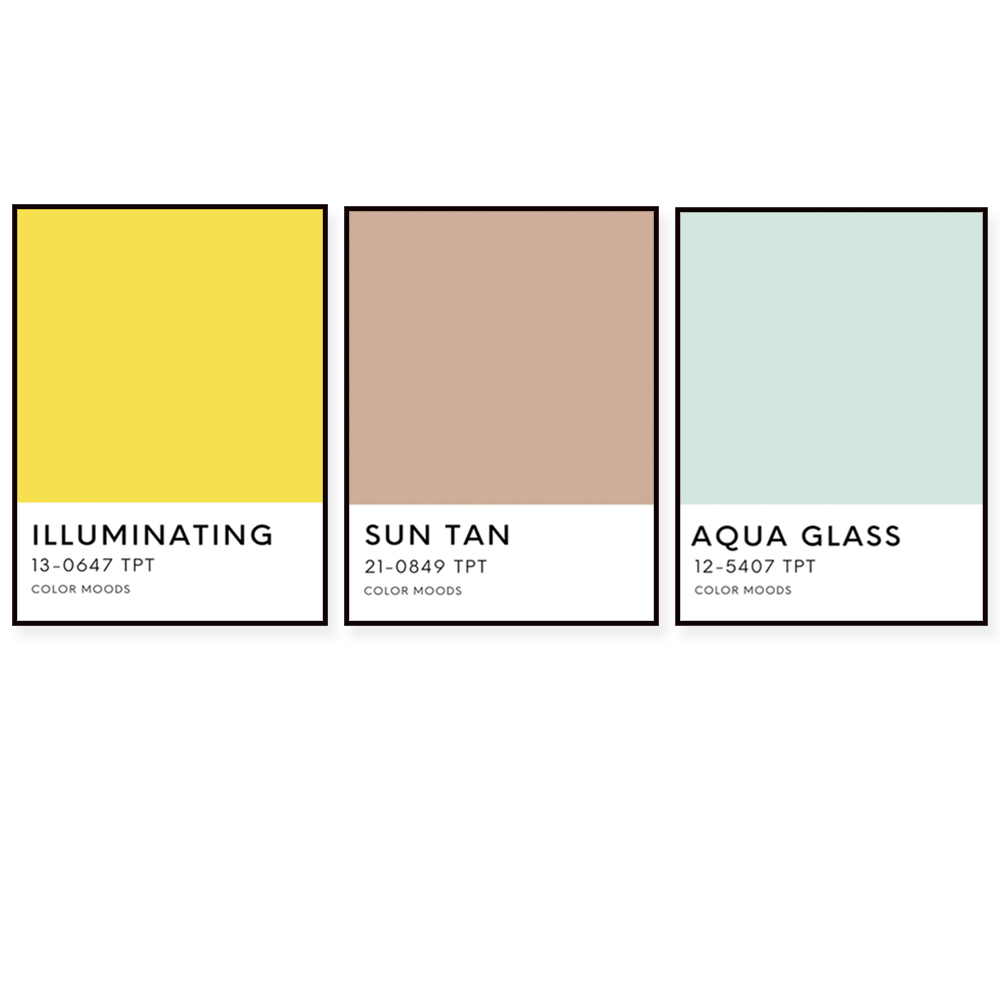 Sunshine state palette color p – Home Decor Color Palettes recenzja i cena
