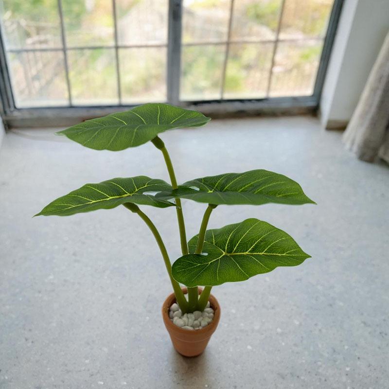 1Pcs Dollhouse Philodendron Mi – Home Decor Resin recenzja i cena