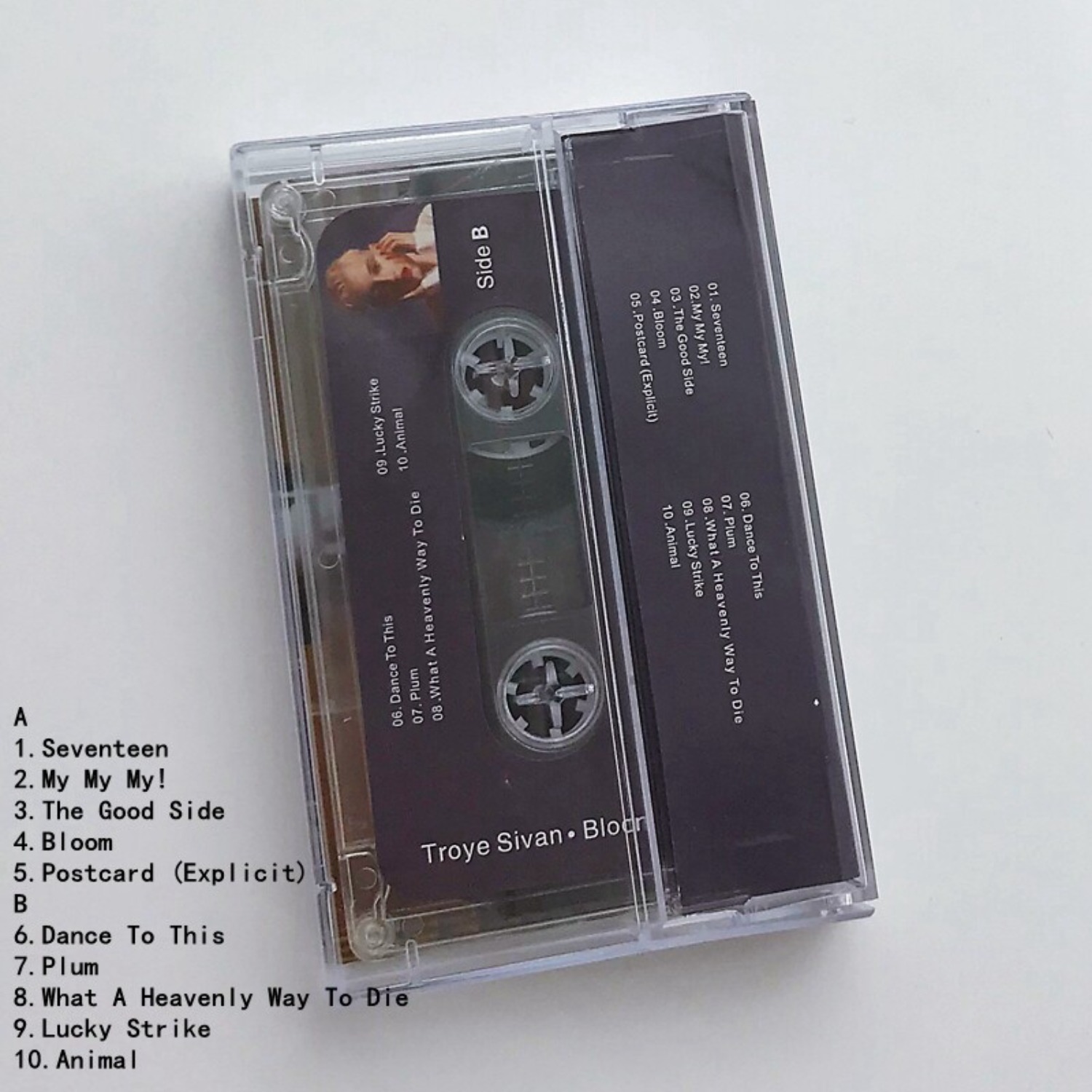 Rare Sealed Troye Sivan Bloom  – Home Decor Collection recenzja i cena